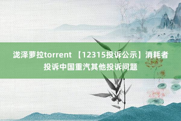泷泽萝拉torrent 【12315投诉公示】消耗者投诉中国重汽其他投诉问题
