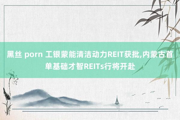 黑丝 porn 工银蒙能清洁动力REIT获批，内蒙古首单基础才智REITs行将开赴