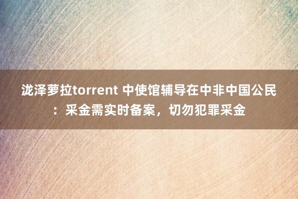 泷泽萝拉torrent 中使馆辅导在中非中国公民：采金需实时备案，切勿犯罪采金