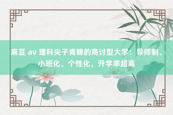 麻豆 av 理科尖子青睐的商讨型大学：导师制、小班化、个性化，升学率超高