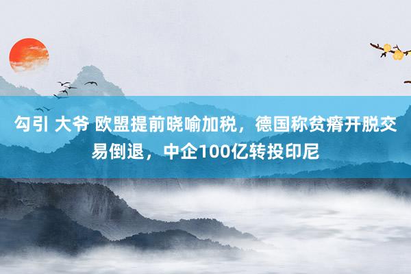 勾引 大爷 欧盟提前晓喻加税，德国称贫瘠开脱交易倒退，中企100亿转投印尼
