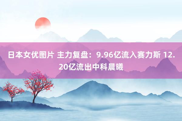 日本女优图片 主力复盘：9.96亿流入赛力斯 12.20亿流出中科晨曦