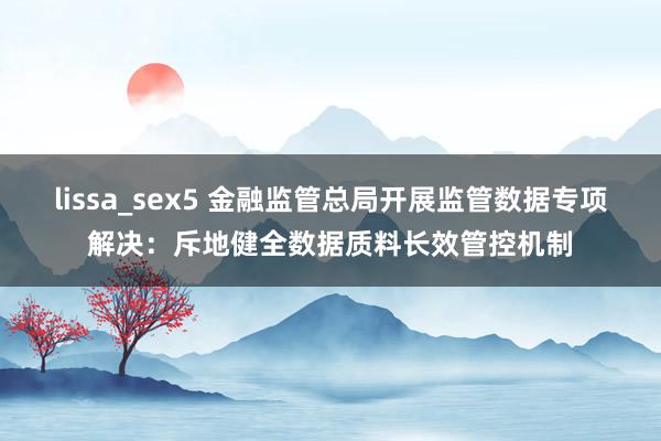 lissa_sex5 金融监管总局开展监管数据专项解决：斥地健全数据质料长效管控机制