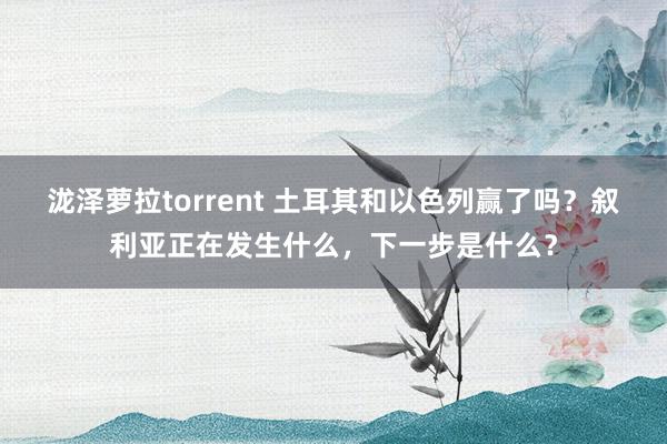 泷泽萝拉torrent 土耳其和以色列赢了吗？叙利亚正在发生什么，下一步是什么？