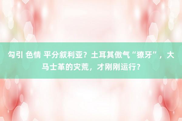 勾引 色情 平分叙利亚？土耳其傲气“獠牙”，大马士革的灾荒，才刚刚运行？