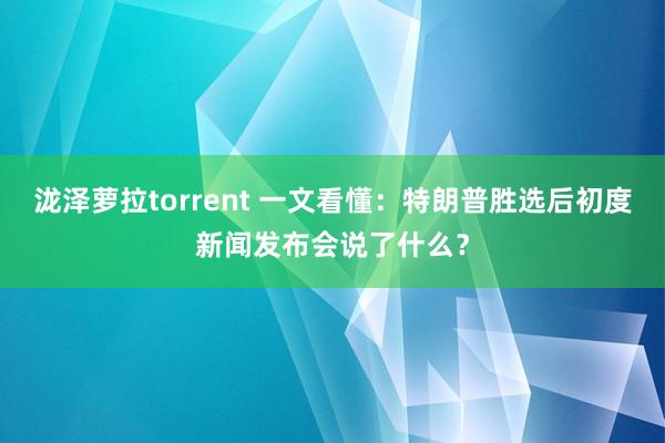 泷泽萝拉torrent 一文看懂：特朗普胜选后初度新闻发布会说了什么？