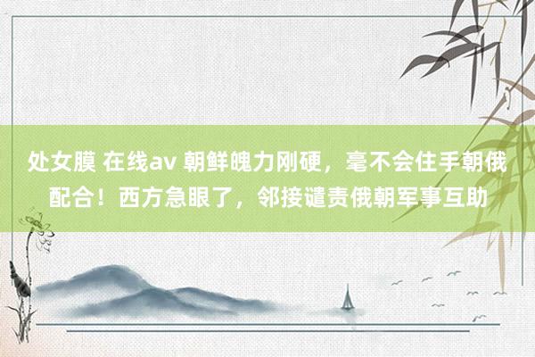 处女膜 在线av 朝鲜魄力刚硬，毫不会住手朝俄配合！西方急眼了，邻接谴责俄朝军事互助