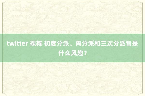 twitter 裸舞 初度分派、再分派和三次分派皆是什么风趣？