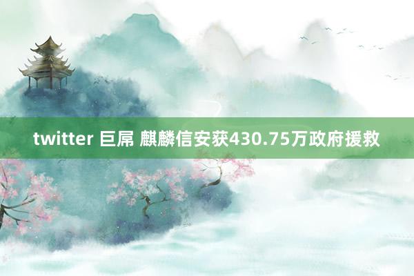 twitter 巨屌 麒麟信安获430.75万政府援救
