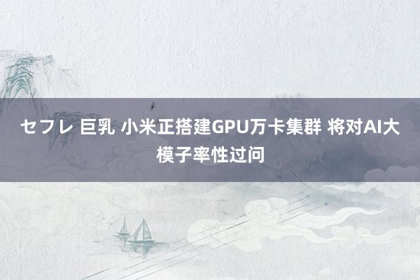 セフレ 巨乳 小米正搭建GPU万卡集群 将对AI大模子率性过问
