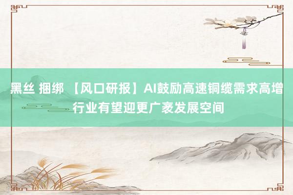 黑丝 捆绑 【风口研报】AI鼓励高速铜缆需求高增 行业有望迎更广袤发展空间