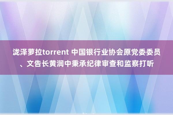 泷泽萝拉torrent 中国银行业协会原党委委员、文告长黄润中秉承纪律审查和监察打听