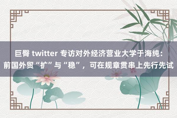 巨臀 twitter 专访对外经济营业大学于海纯：前国外贸“扩”与“稳”，可在规章贯串上先行先试