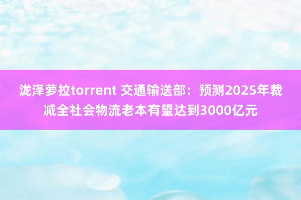 泷泽萝拉torrent 交通输送部:预测2025年裁减全社会物流老本有望达到3000亿元