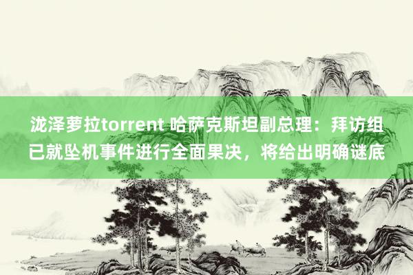 泷泽萝拉torrent 哈萨克斯坦副总理：拜访组已就坠机事件进行全面果决，将给出明确谜底