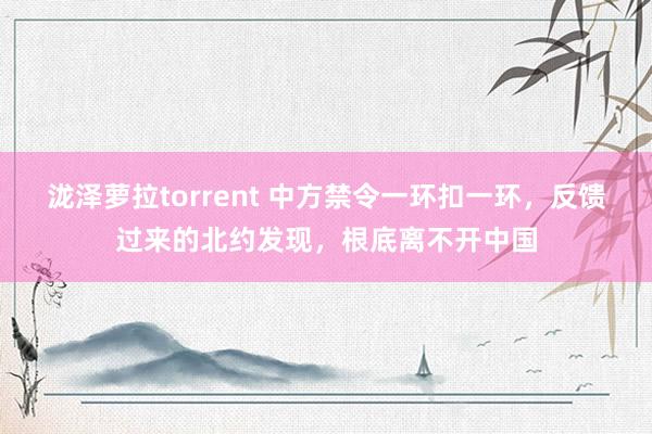 泷泽萝拉torrent 中方禁令一环扣一环，反馈过来的北约发现，根底离不开中国