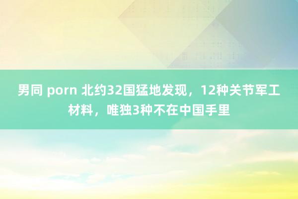 男同 porn 北约32国猛地发现，12种关节军工材料，唯独3种不在中国手里