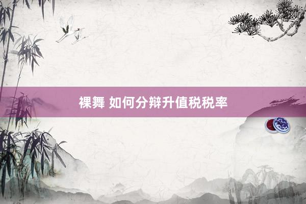 裸舞 如何分辩升值税税率