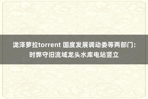 泷泽萝拉torrent 国度发展调动委等两部门：时弊守旧流域龙头水库电站竖立