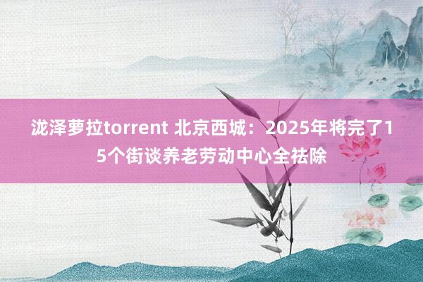 泷泽萝拉torrent 北京西城：2025年将完了15个街谈养老劳动中心全祛除