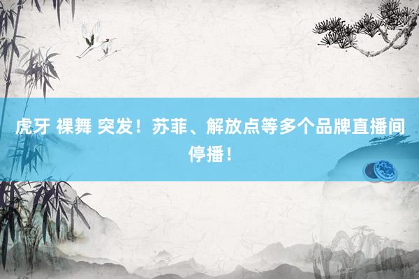 虎牙 裸舞 突发！苏菲、解放点等多个品牌直播间停播！