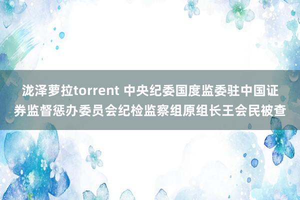 泷泽萝拉torrent 中央纪委国度监委驻中国证券监督惩办委员会纪检监察组原组长王会民被查