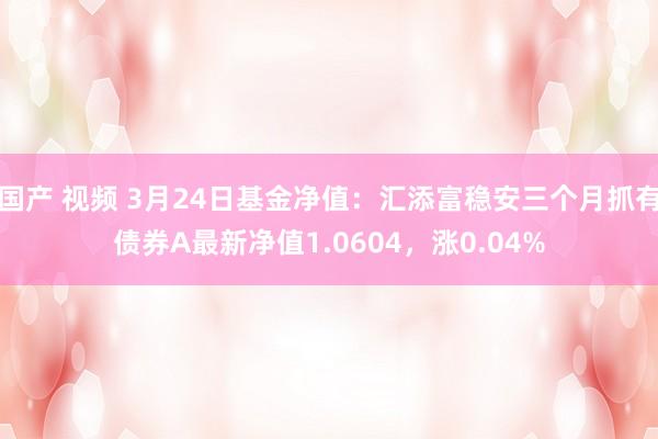 国产 视频 3月24日基金净值：汇添富稳安三个月抓有债券A最新净值1.0604，涨0.04%