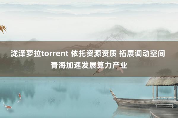 泷泽萝拉torrent 依托资源资质 拓展调动空间 青海加速发展算力产业
