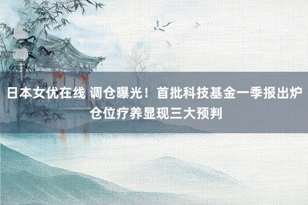 日本女优在线 调仓曝光！首批科技基金一季报出炉 仓位疗养显现三大预判